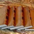DSC 0011