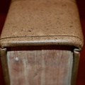 DSC 0009