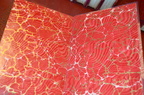 DSC 0041
